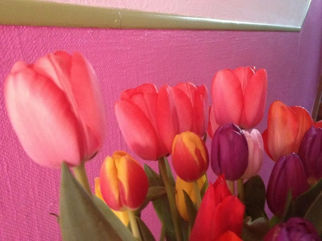 B&B La Vie En Rose Basel