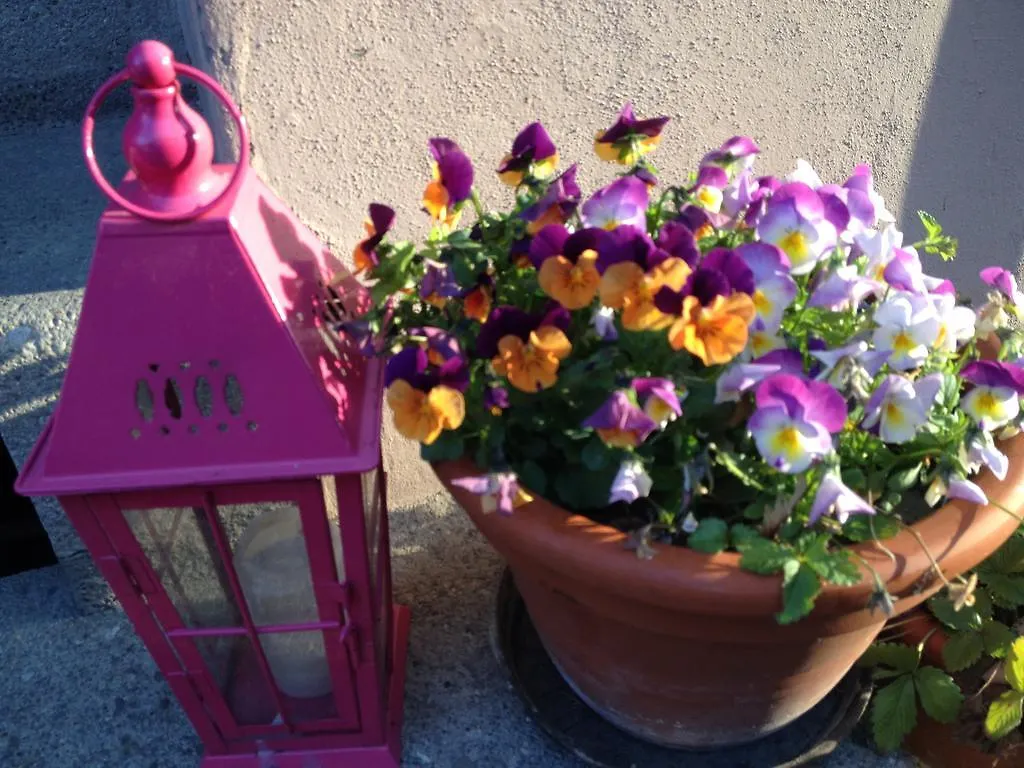 Bed & Breakfast B&B La Vie En Rose Basel